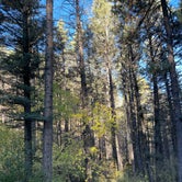 Review photo of Black Canyon Campground by robert M., October 11, 2021