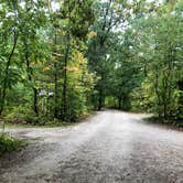 Review photo of D.H. Day Campground — Sleeping Bear Dunes National Lakeshore by Lyle B., October 11, 2021