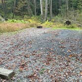 Review photo of Reeds Gap State Park Campground by Kelly C., October 11, 2021