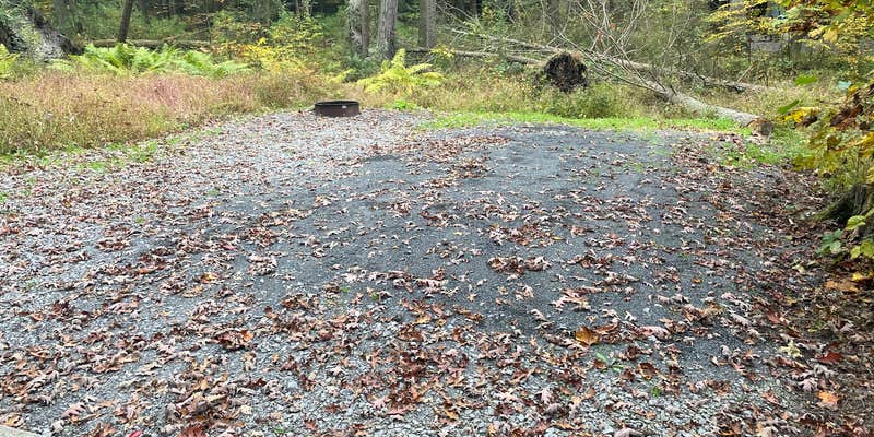 Camper submitted image from Reeds Gap State Park Campground