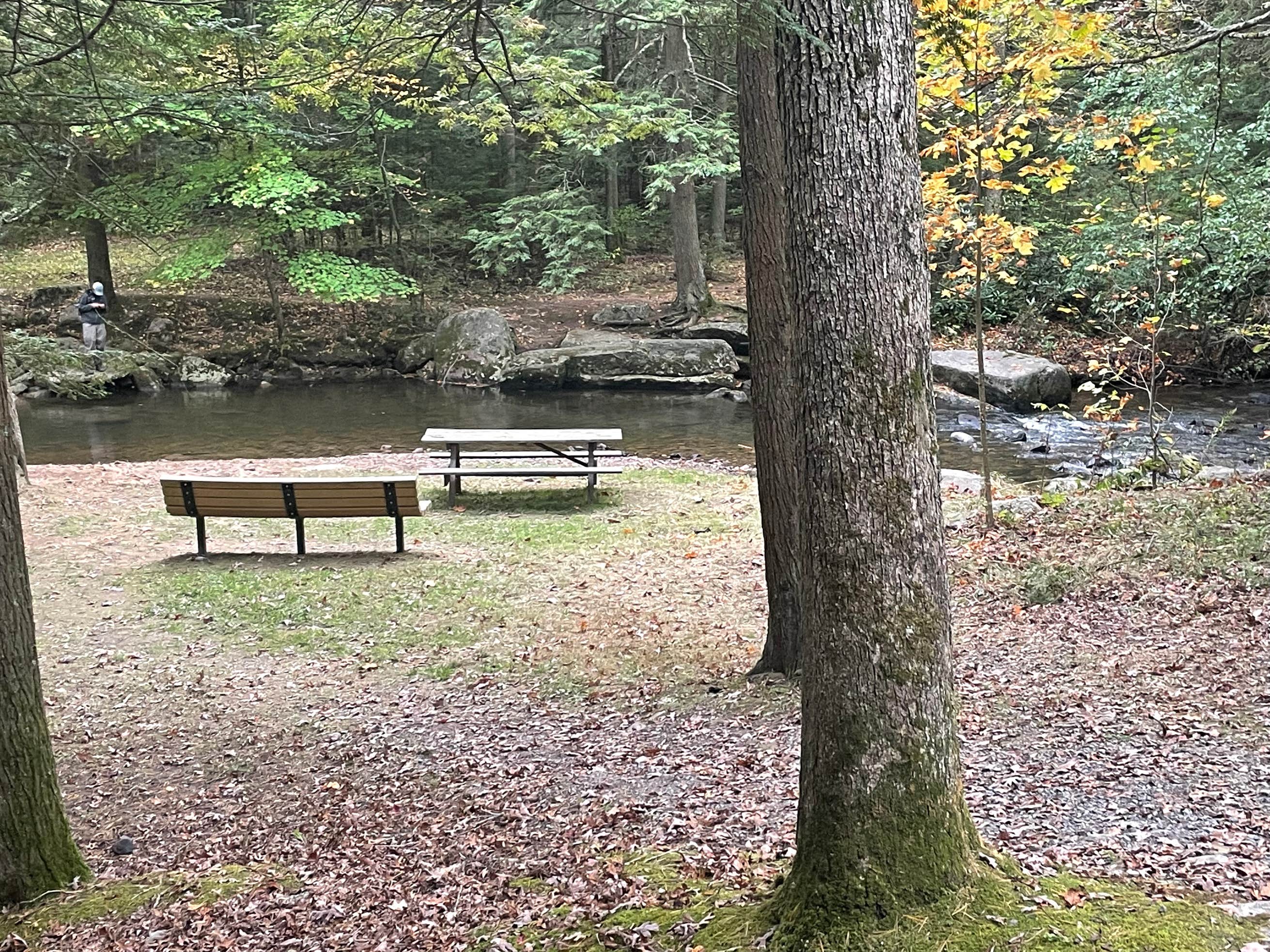 Reeds Gap State Park Camping The Dyrt