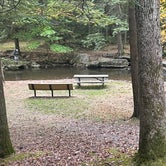 Review photo of Reeds Gap State Park Campground by Kelly C., October 11, 2021