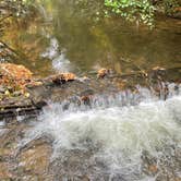 Review photo of Reeds Gap State Park Campground by Kelly C., October 11, 2021