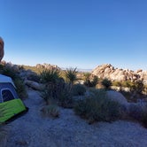 Review photo of Indian Cove Campground — Joshua Tree National Park by Sook C., October 11, 2021