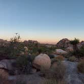 Review photo of Indian Cove Campground — Joshua Tree National Park by Sook C., October 11, 2021