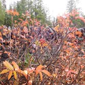 Review photo of Signal Mountain Campground — Grand Teton National Park by Debra M., October 11, 2021