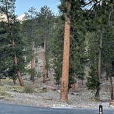 Review photo of Toiyabe National Forest McWilliams Campground by Les W., October 11, 2021