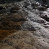 Review photo of Madison Campground — Yellowstone National Park by Debra M., October 11, 2021