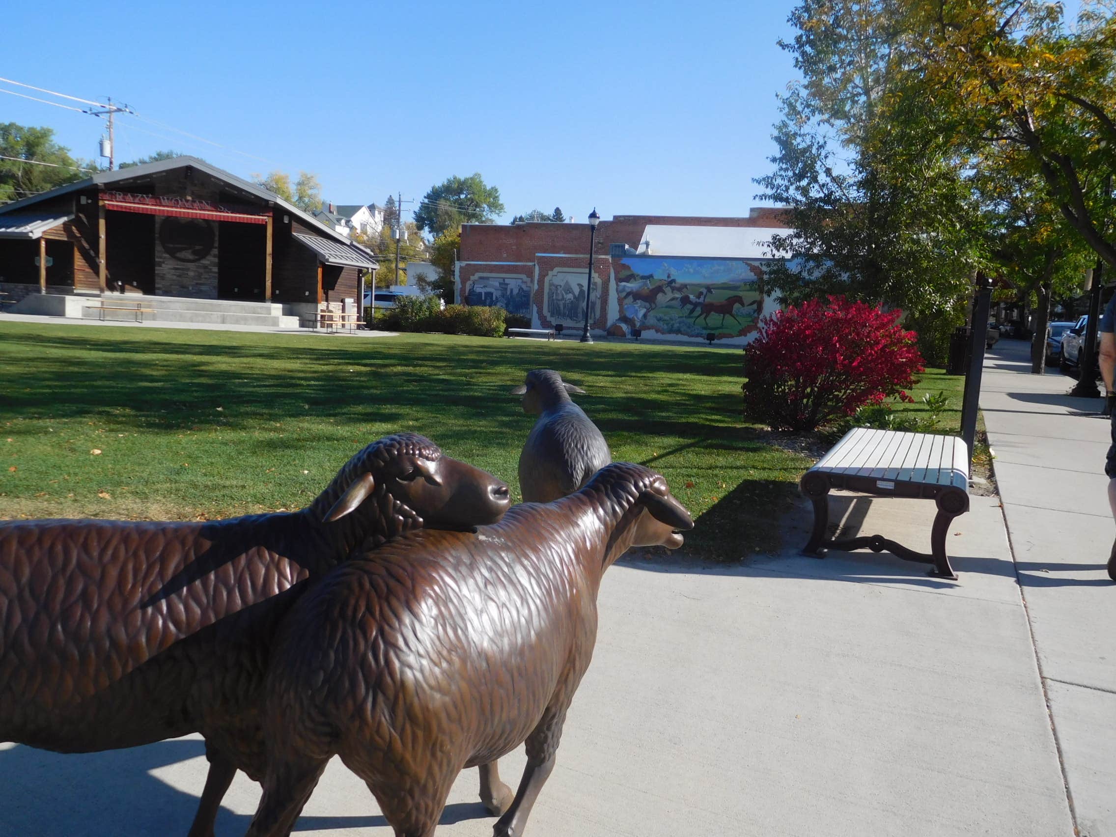 Camper-submitted photo at Mountain View Motel and Campground near Buffalo, WY
