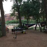 Review photo of King's Bottom Campground by Samm R., July 3, 2018