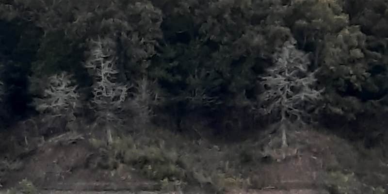 Camper submitted image from Walnut Creek Resort