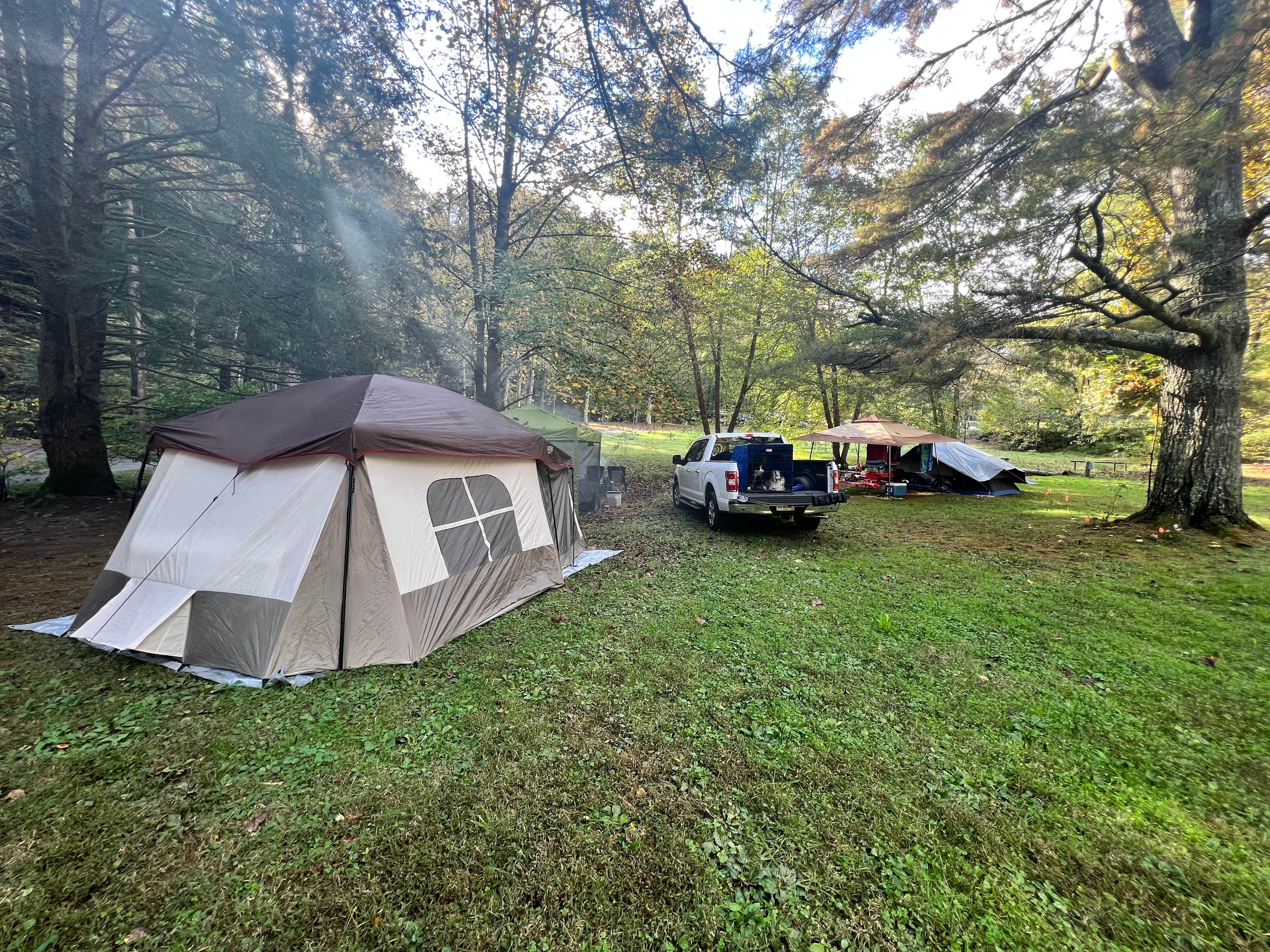 Sarah S.'s photo at Timberlake Campground near Sylva, NC