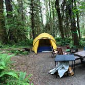 Review photo of Hoh Rain Forest - Olympic National Park by Ryan S., July 3, 2018