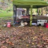 Review photo of Timberlake Campground by Sarah S., October 12, 2021