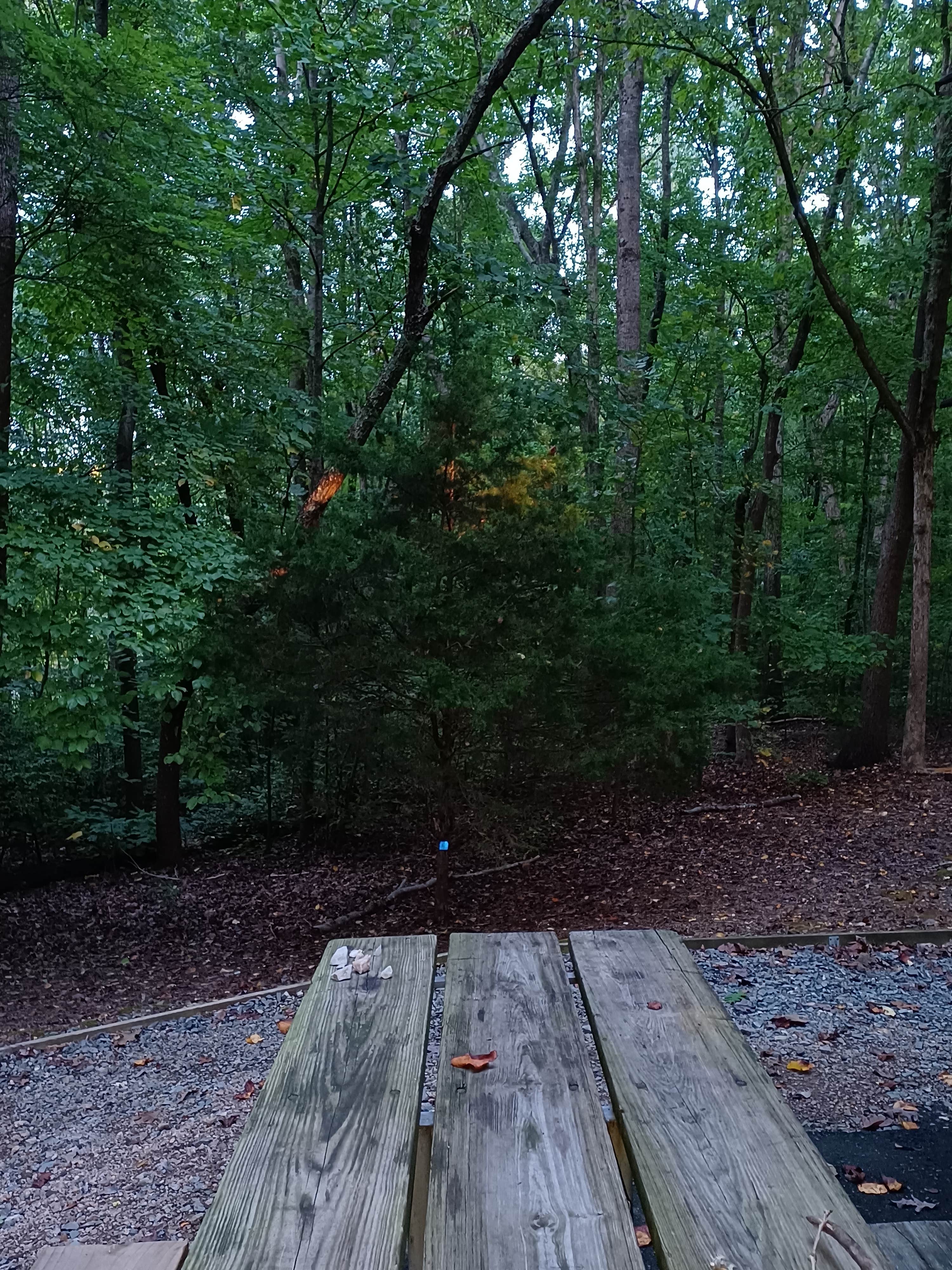 Camper submitted image from Cane Creek Campground and RV Park - 2