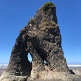 Review photo of Hoh Rain Forest - Olympic National Park by Ryan S., July 3, 2018
