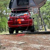 Review photo of Cape Henlopen State Park Campground by Justin C., October 12, 2021