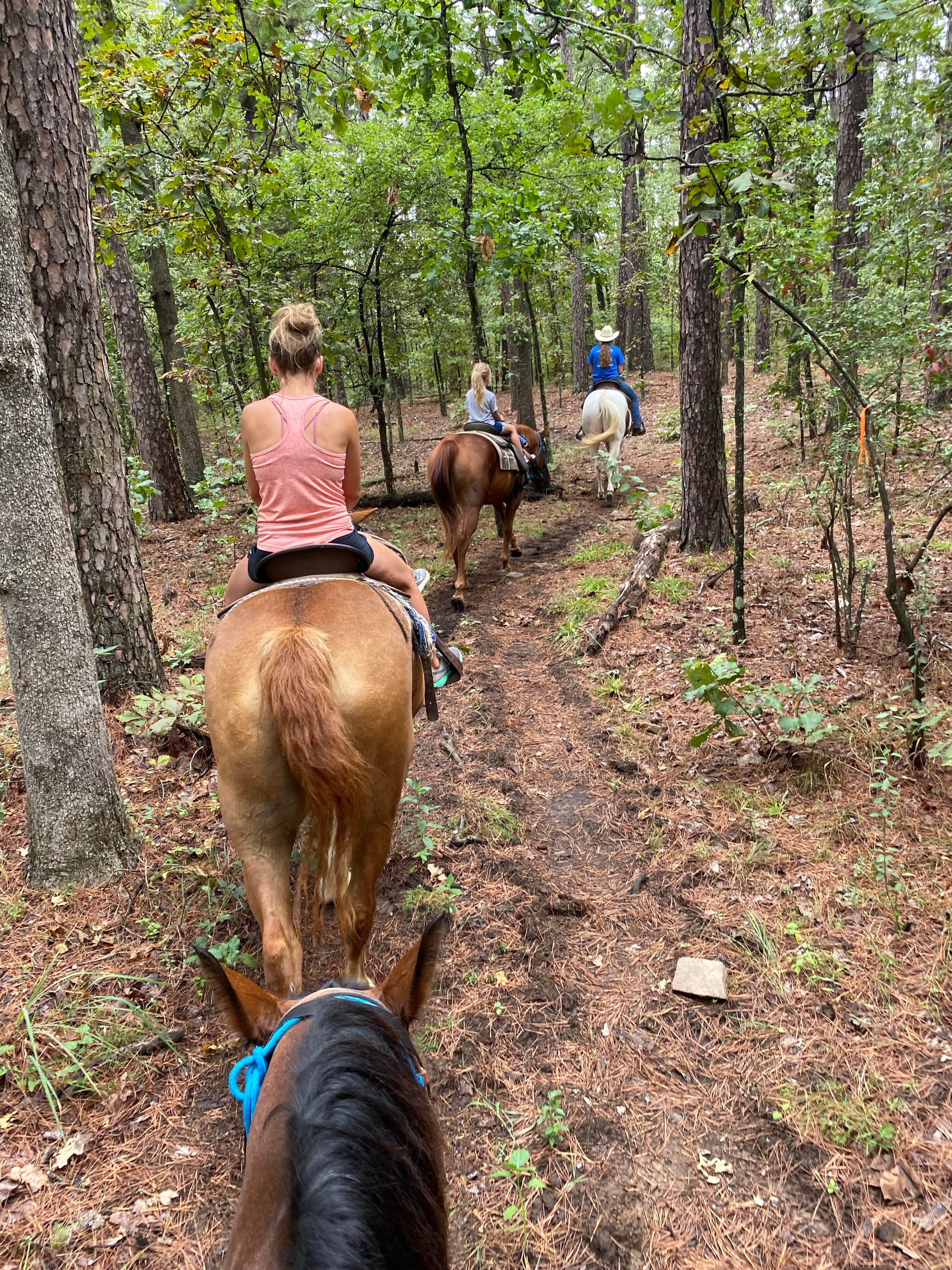 Jennifer's photo of camping with a horse at Robbers Cave State Park — Robbers Cave State Resort Park near Talihina, OK