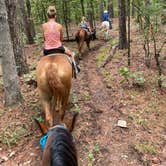 Review photo of Robbers Cave State Park — Robbers Cave State Resort Park by Jennifer , October 12, 2021