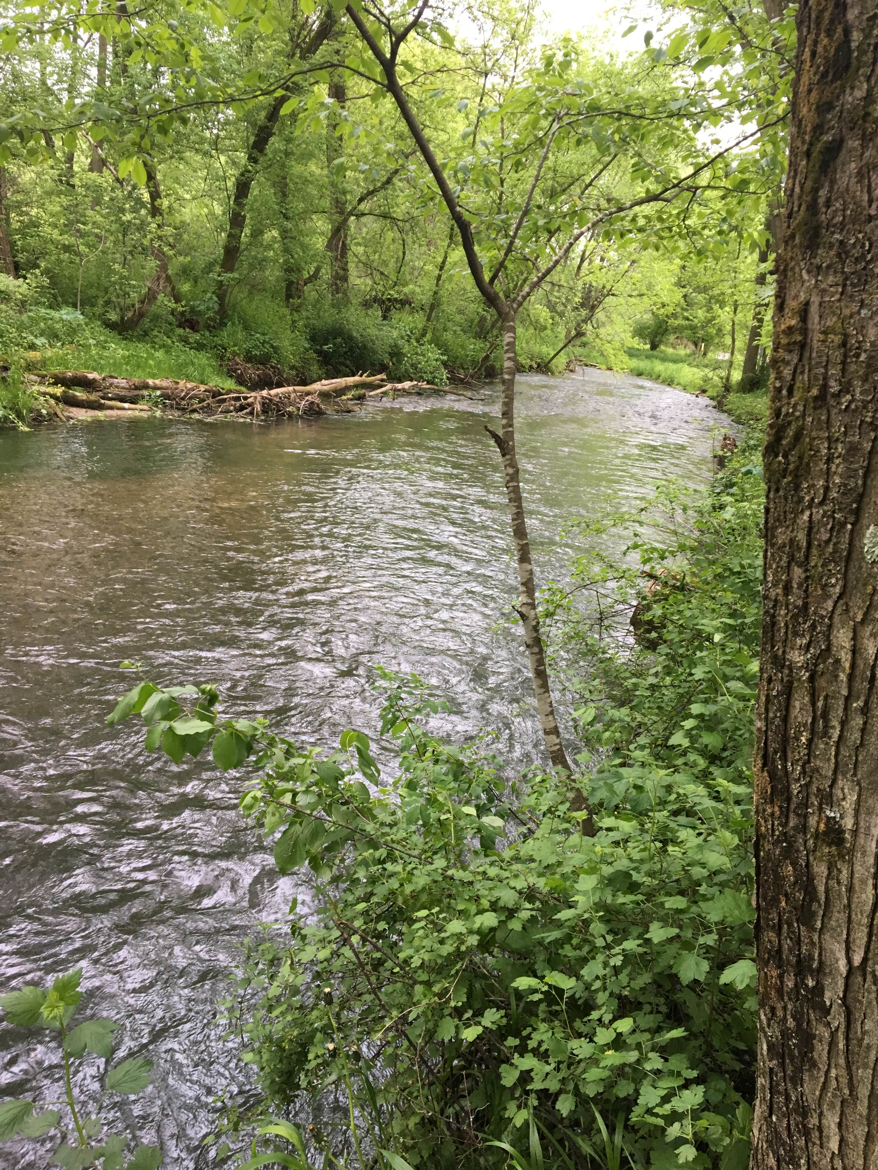 Camper-submitted photo at Maple Springs Campground near Floyd, IA