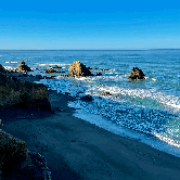 Review photo of Westport Union Landing State Beach — Westport-Union Landing State Beach by Terry B., October 12, 2021