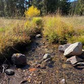 Review photo of Timber Camp Campground by Aubrey B., October 12, 2021