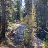 Review photo of Timber Camp Campground by Aubrey B., October 12, 2021