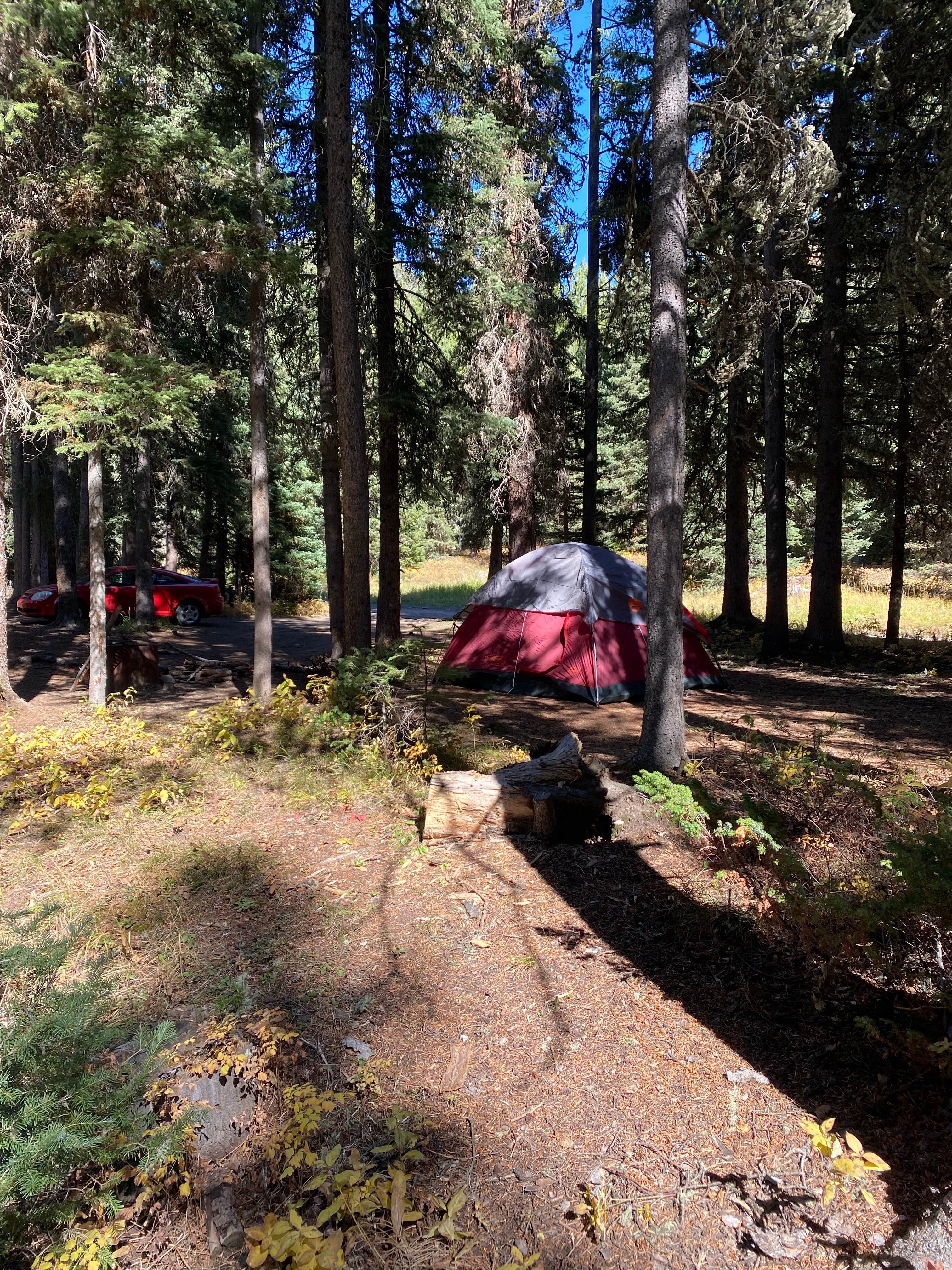Aubrey B.'s photo at Timber Camp Campground near Gardiner, MT