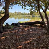 Review photo of Guajome Regional Park by Carlos M., October 12, 2021