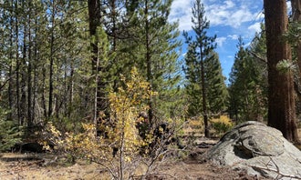 Camping near Fish Creek Campground: FR 22S05 - Dispersed Site , Johnsondale, California
