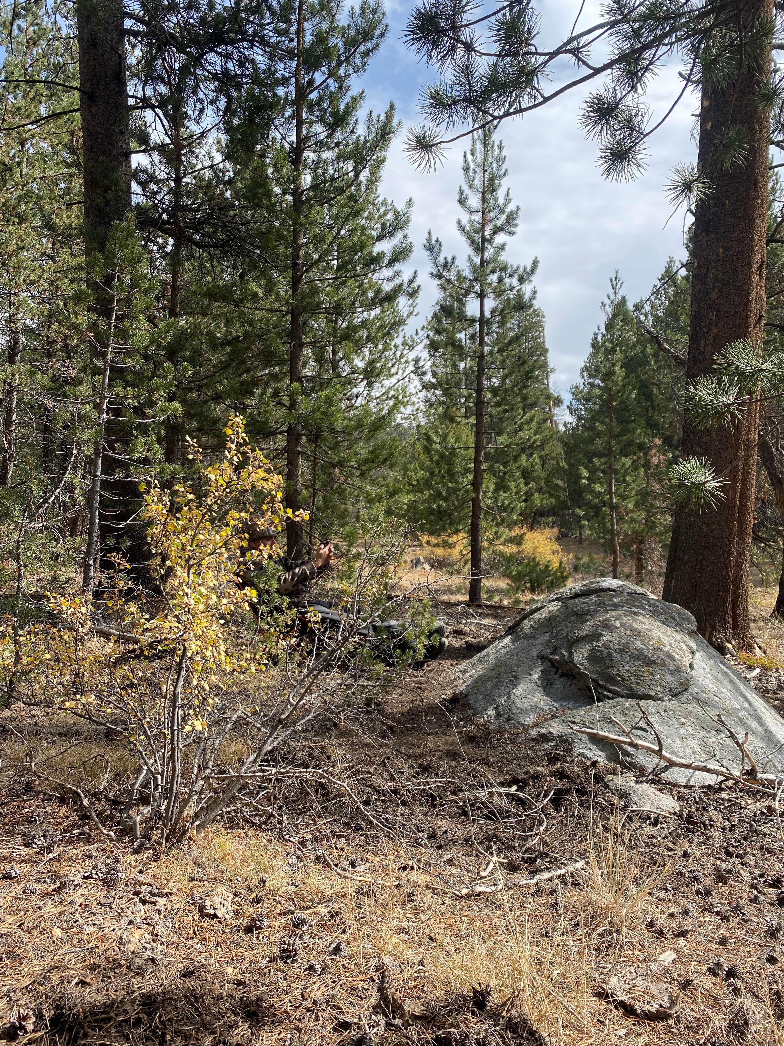 Camper-submitted photo at FR 22S05 - Dispersed Site near Little Lake, CA