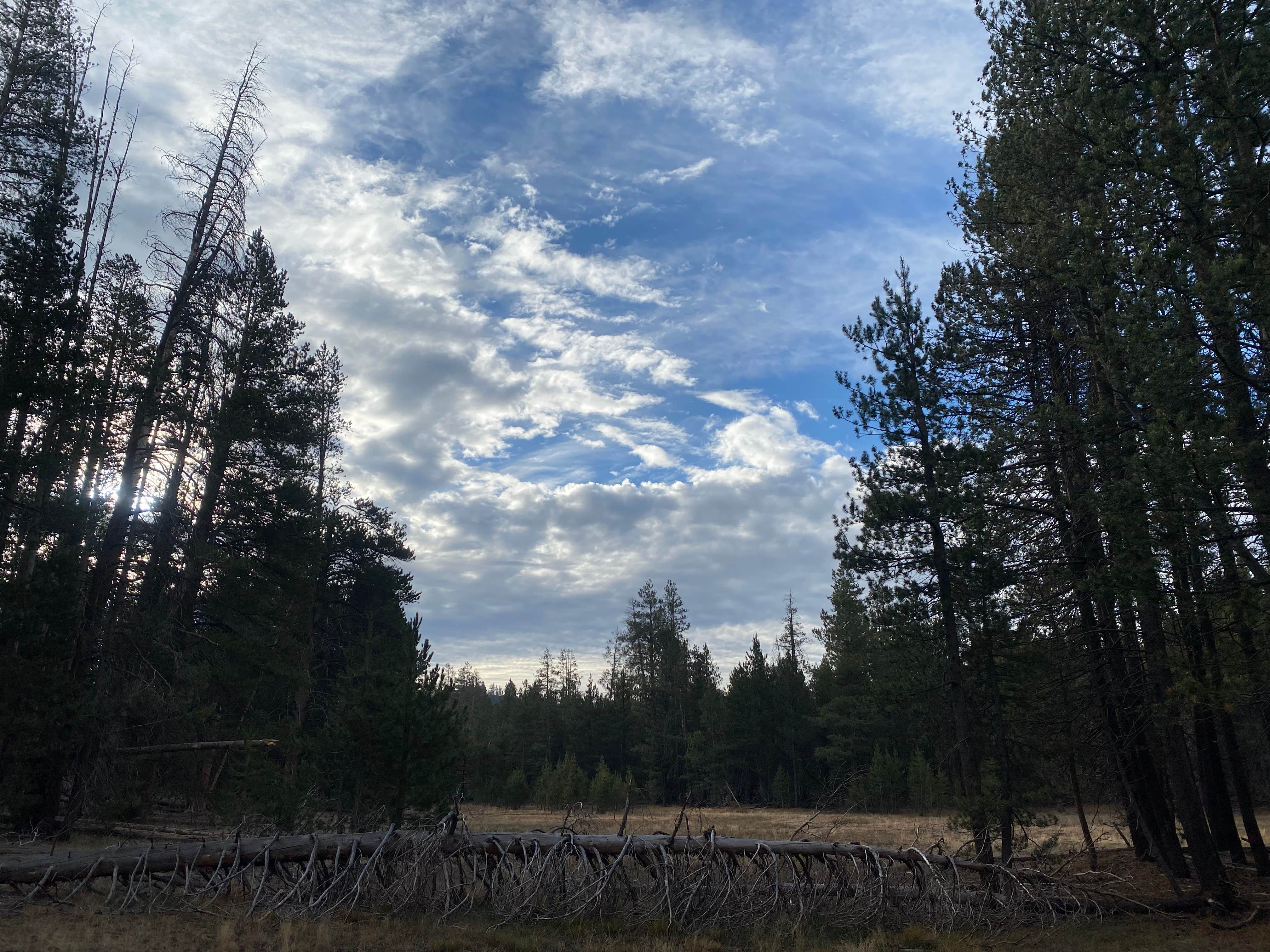 Camper-submitted photo at FR 22S05 - Dispersed Site near Little Lake, CA