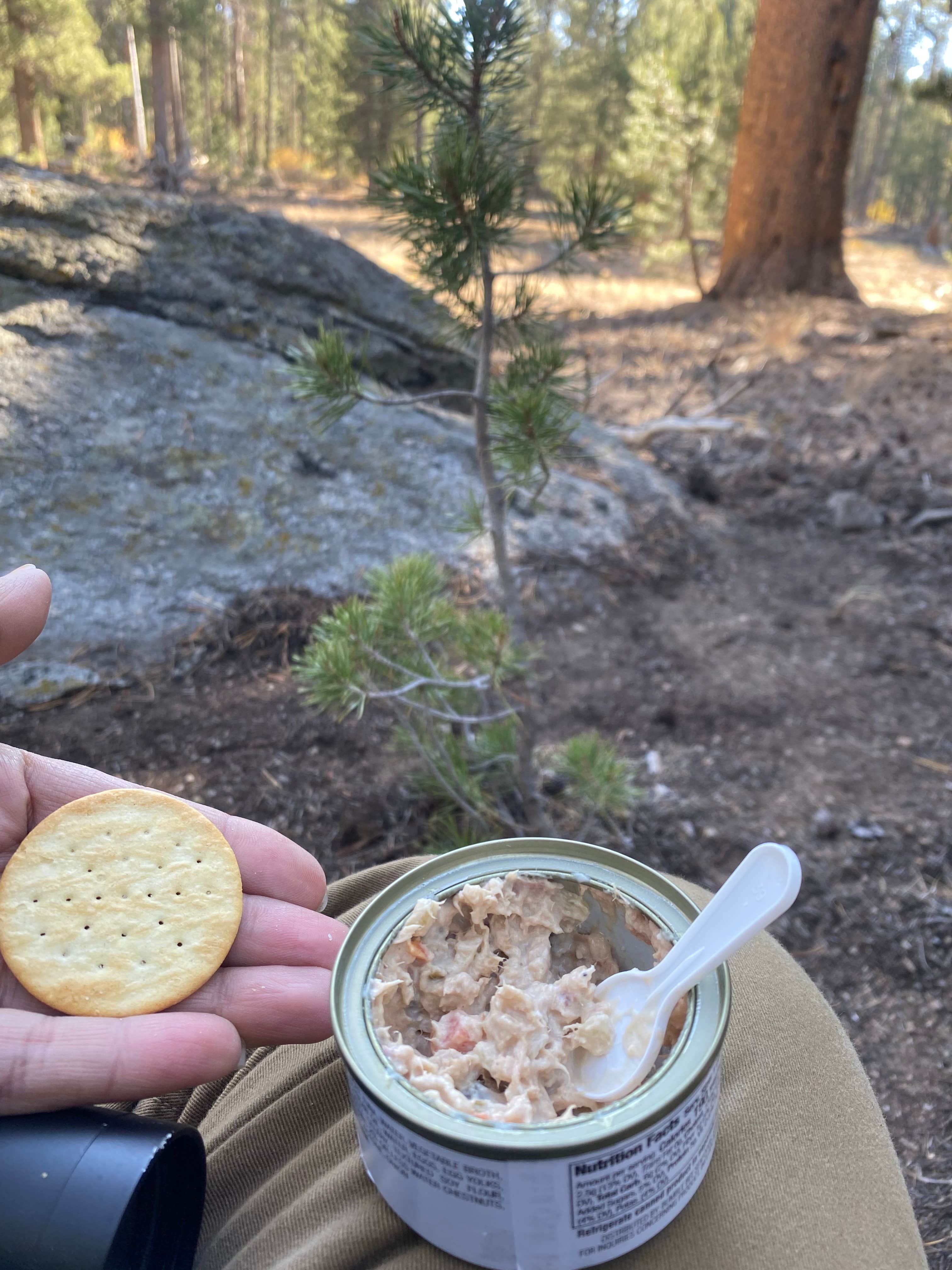 Camper-submitted photo at FR 22S05 - Dispersed Site near Little Lake, CA