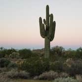 Review photo of Usery Mountain Regional Park by Brian & Jennifer M., October 12, 2021