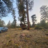 Review photo of Utah Forest Road 13 Dispersed Camping by Ashley B., October 12, 2021