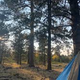 Review photo of Utah Forest Road 13 Dispersed Camping by Ashley B., October 12, 2021