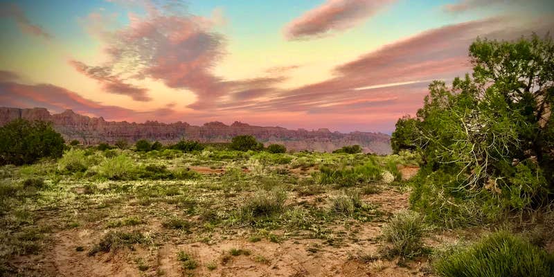 Camper submitted image from Salt Valley Dispersed Camping