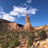 Review photo of Saddlehorn Campground — Colorado National Monument by David N., October 12, 2021
