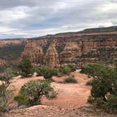 Review photo of Saddlehorn Campground — Colorado National Monument by David N., October 12, 2021