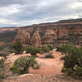 Review photo of Saddlehorn Campground — Colorado National Monument by David N., October 12, 2021