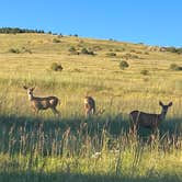 Review photo of Cripple Creek Hospitality House & Travel Park by David N., October 12, 2021