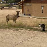 Review photo of Estes Park Campground at Mary's Lake by David N., October 12, 2021