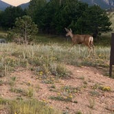 Review photo of Estes Park Campground at Mary's Lake by David N., October 12, 2021