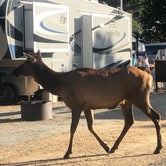 Review photo of Estes Park Campground at Mary's Lake by David N., October 12, 2021