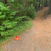 Review photo of Historic Clackamas Ranger Station - Dispersed Camping - Roadside by Mark F., October 12, 2021