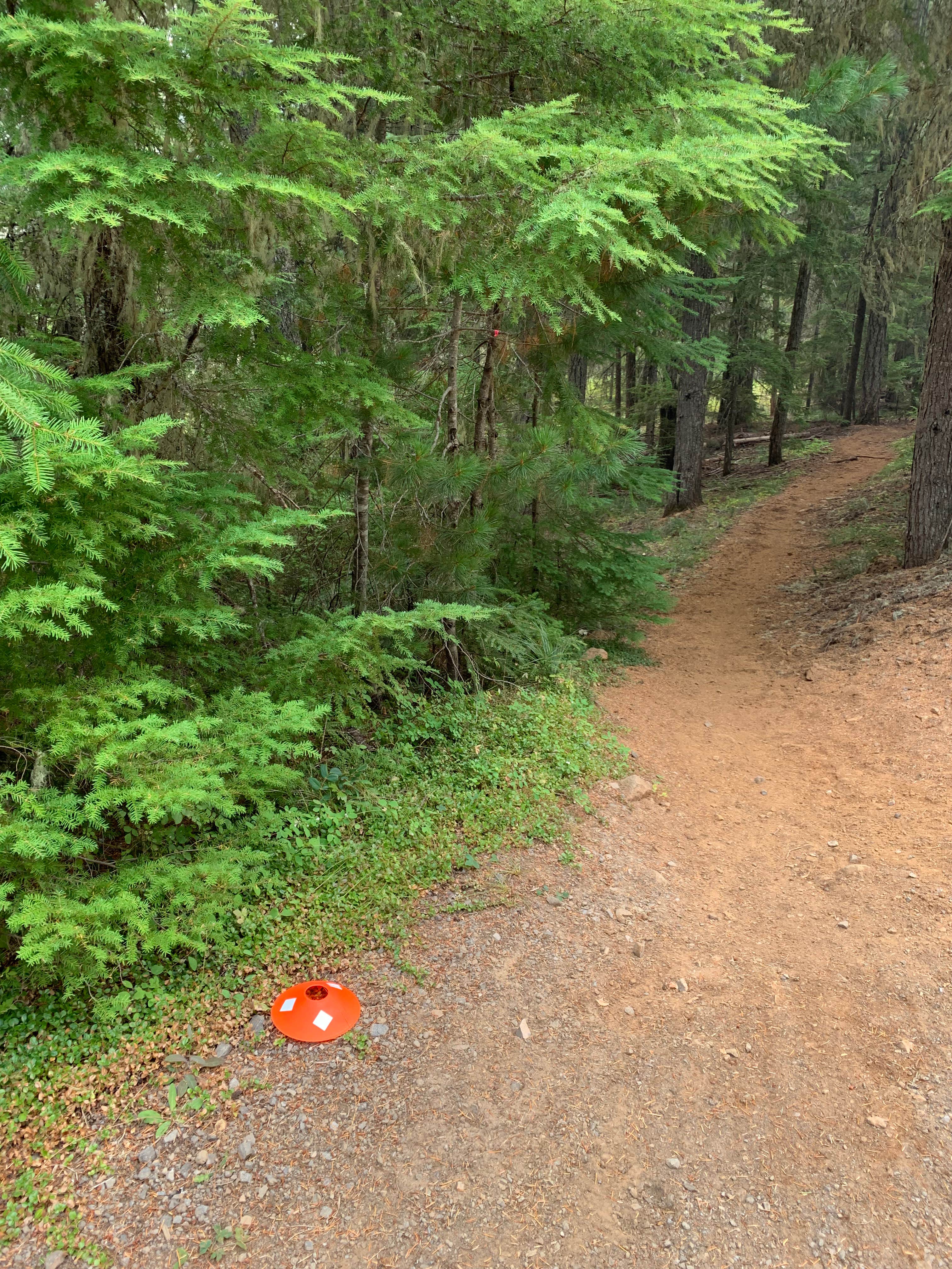 Camper submitted image from Historic Clackamas Ranger Station - Dispersed Camping - Roadside - 2