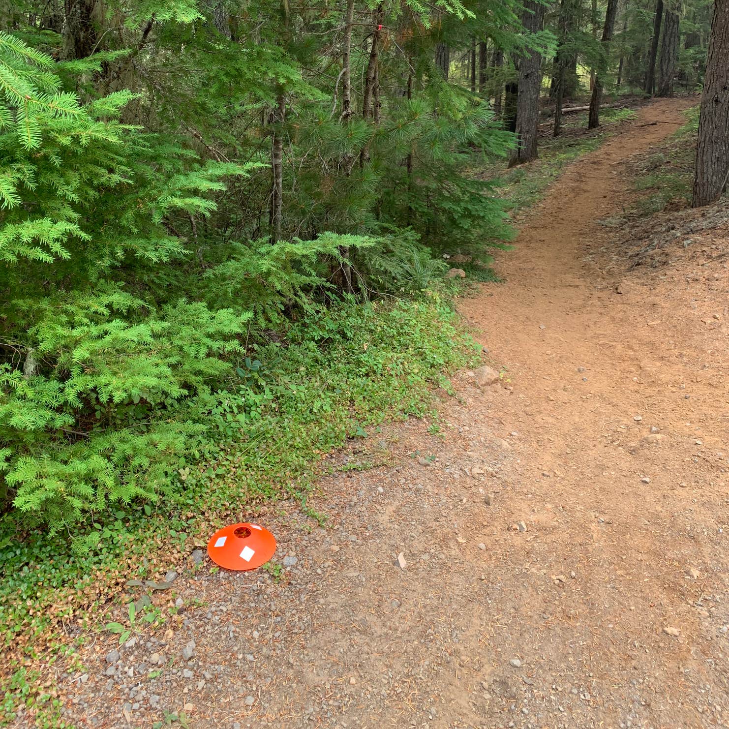 Historic Clackamas Ranger Station - Dispersed Camping - Roadside | Mt ...