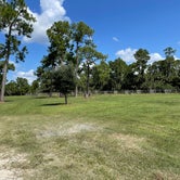 Review photo of Horseshoe Primitive Campground in Picayune Strand State Forest by Geoff , October 12, 2021