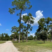 Review photo of Horseshoe Primitive Campground in Picayune Strand State Forest by Geoff , October 12, 2021