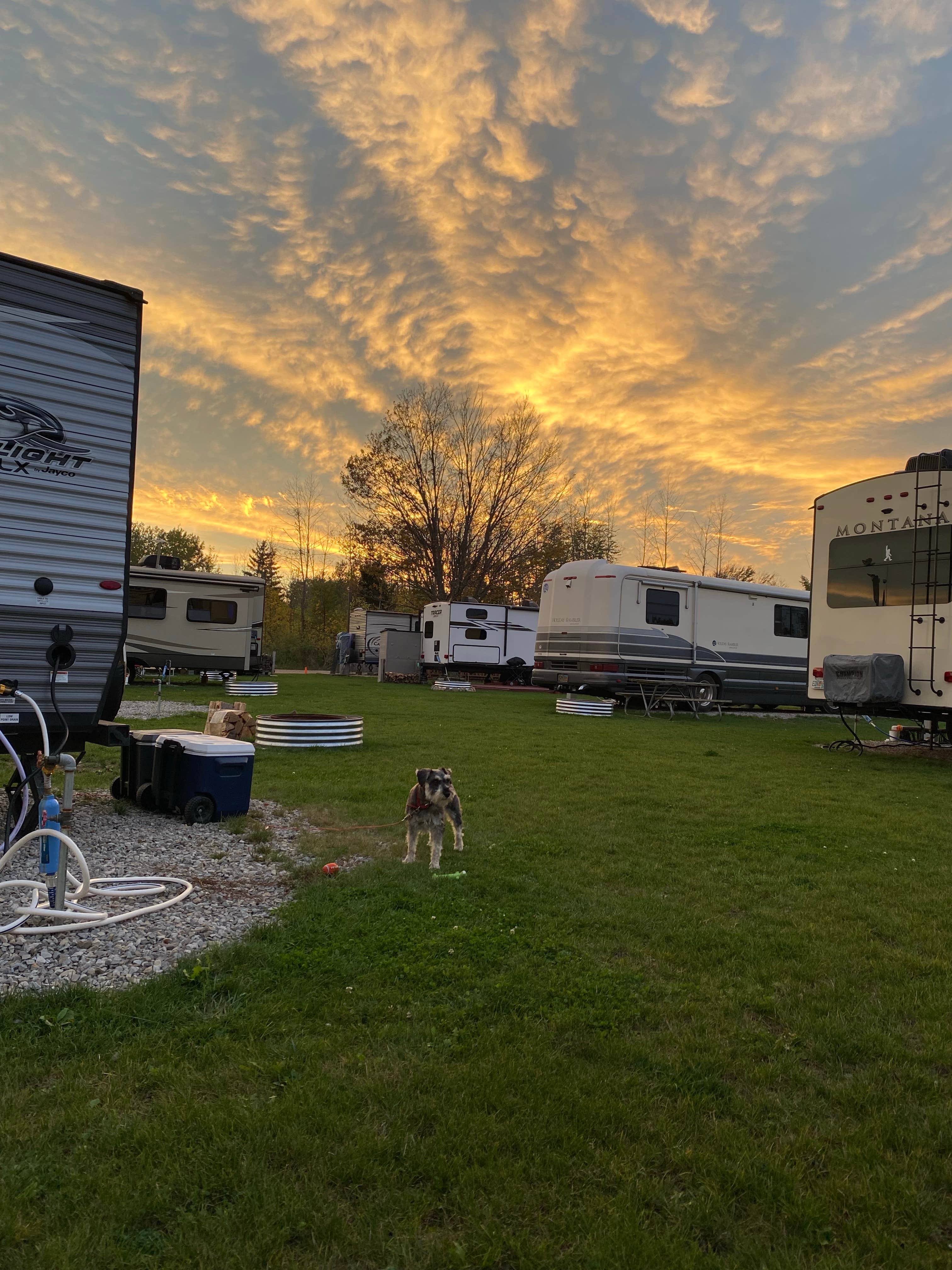 Sheila's photo of camping with pets at Stafford County Park Campground near Sandusky, MI